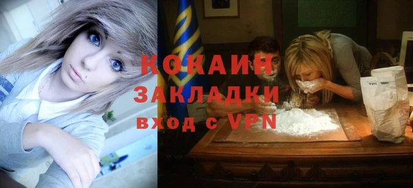 молекула духа Снежногорск