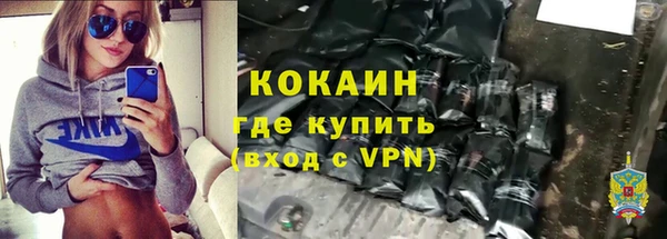 молекула духа Снежногорск