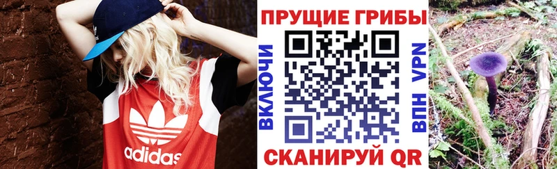 Купить  Дудинка  Псилоцибиновые грибы Psilocybine cubensis 